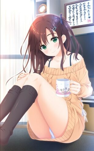 Onii-chan, Asa made Zutto Gyutte Shite Episodes